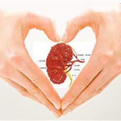 血液透析的原理是什么